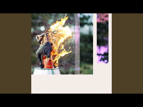 Love With A Stranger