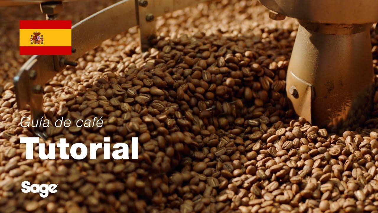 Elegir los granos de café adecuados