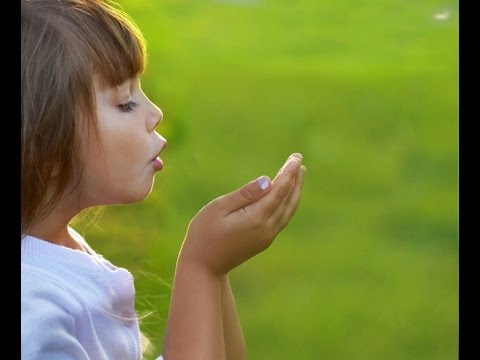 Chelsea Moon w/the Franz Brothers - Trust and Obey