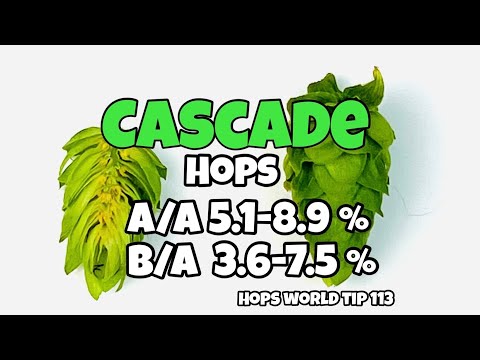 CASCADE HOPS - HOPS WORLD TIP 113