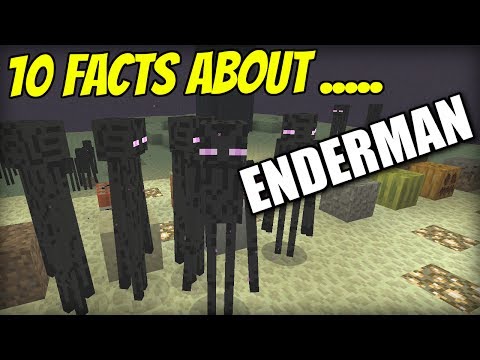 10 FACTS about ENDERMAN – Minecraft Xbox – PS4 / PE / PS3 