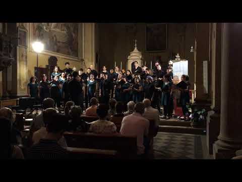 Stelutis Alpinis - Vancouver Youth Choir | Europe 2018