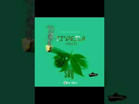 SKY Tamale Boy Ti Deila High (New Banger)