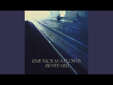 Come Back As A Flower (Revive Mix) (feat. Brokenchord)
