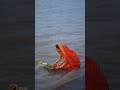 Kosi Bhar Chalali