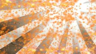 COMO CUIDAR EL CORAZON- NGC WESTON