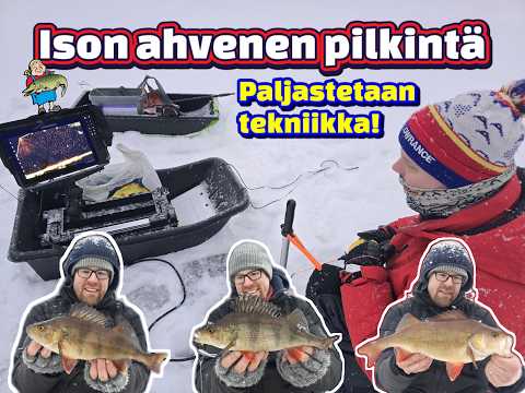 Ison ahvenen pilkintä video | Kuinka saada isoja ahvenia!