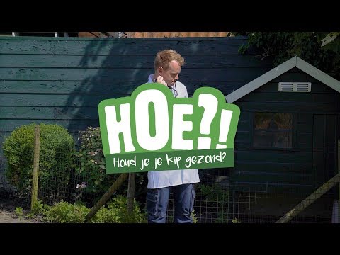 Hoe houd je je kip gezond? | HOE?! | Welkoop