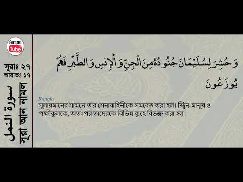 Surah  An Naml with bangla translation   recited by mishari al afasy