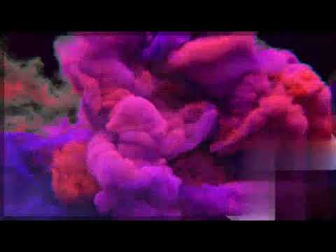 WhatsApp Video 2018 10 21 at 16 40 55