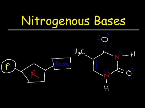 Nucleosides vs Nucleotides, Purines vs Pyrimidines - Nitrogenous Bases - DNA & RNA
