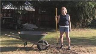 Grass & Lawn Maintenance : How to Plant Centipede Grass Seed