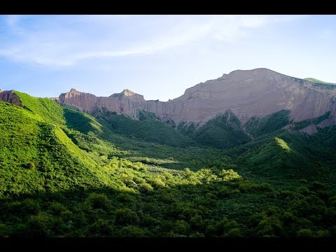 Misty Edwards // You Are Pure/Let Justice Roll Down