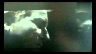 brooklyn-bernard lavilliers-