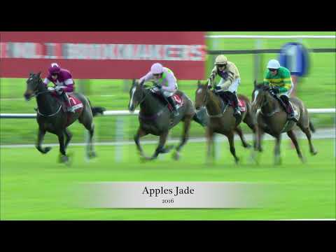 Hatton's Grace Hurdle Memories