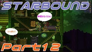 【STARBOUND】実況Part12「フローランの住む惑星」