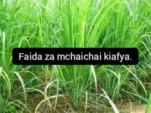 , title : 'Faida za mchaichai kiafya.'