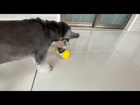 Dog Cat Leaking Food Ball Educational Interactive Toys Swing Bear Slow Food Ball Dog