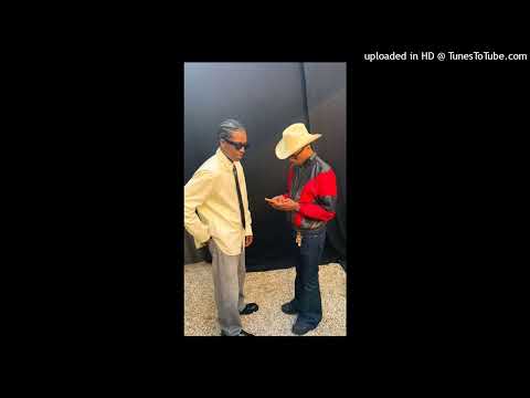 ASAP Rocky, Pharrell Williams - Disturbing the P