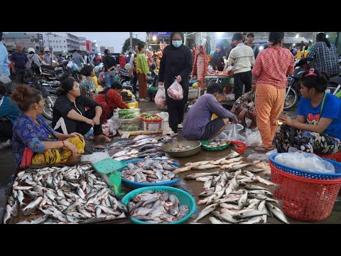 Cambodian Early Morning Fish Market - Activities & Lifestyle of Vendors Selling Seafood & Fish