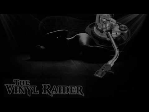 THE VINYLRAIDER - THE SIN