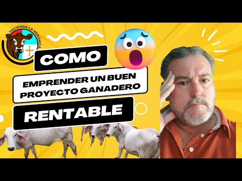 CÓMO EMPEZAR UN  BUEN PROYECTO GANADERO