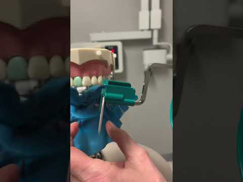 Endo PA with Endo ray holder