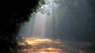 casino versus japan manic thru tone