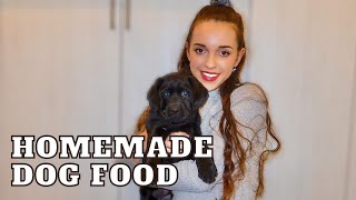 Homemade Dog Food for my Puppy – How to Prepare Healthy Dog Food at Home | Cooking with Maria