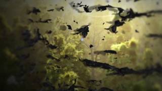 Kingdom - NOTHIN (feat. SYD) [Official Visualizer]