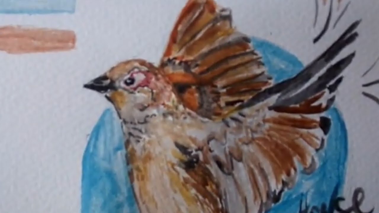 House sparrow painting