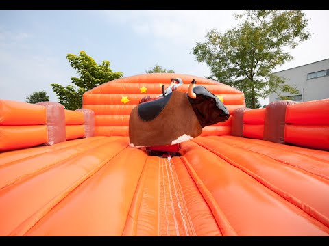 Gingerbread Rodeo Valmat