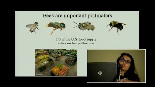 Wyoming Goes Global: Susma Giri on Effects of Temperature and Parasites on Honeybees in Nepal