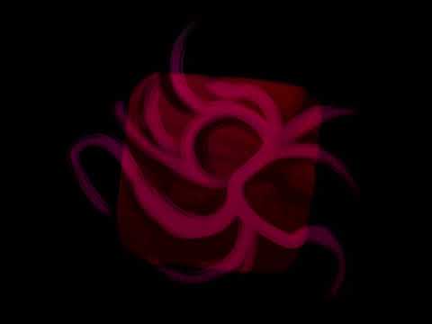 Video thumbnail for Letting My Internal Rows Go Empty [E15]