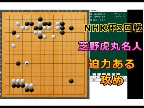 囲碁【芝野虎丸名人対本木克弥八段解説】【第67期NHK杯3回戦】
