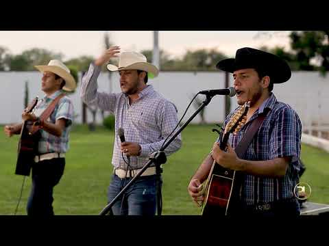 Los Del Arroyo FT Danilo Avilez - Mis Raíces