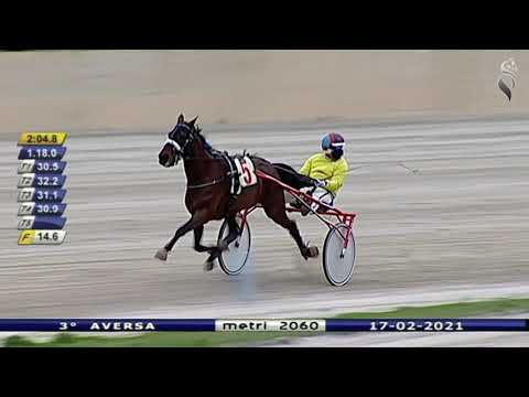 Aversa trotto 17 Febbraio 2021 - 3° Corsa
