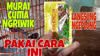 Download lagu CARA MENGATASI BURUNG MURAI BATU NGRIWIK AGAR SUPA... mp3