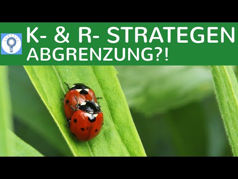 Fortpflanzungsstrategien - Problematik der Abgrenzung - K-Strategen & R-Strategen - Abi-Aufgabe