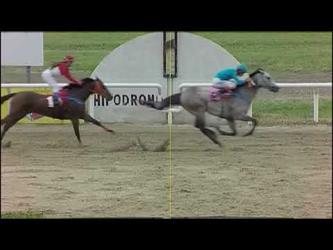 220203 c04 - HORIZONTE - SINT PAYSANDU