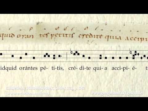 Communio: Amen, dico vobis