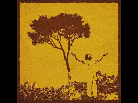 Benevolence - Apoena Ferreira