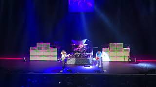 The Contagious - Sawdust