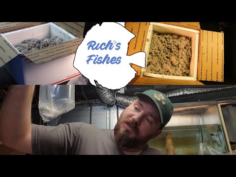 Friday Fish Room Unboxing; Epic Ram un-boxing!