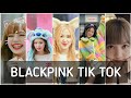 Blackpink Cute And Funny Tik Tok Edits Blackpink Whatsapp Status Blackpink