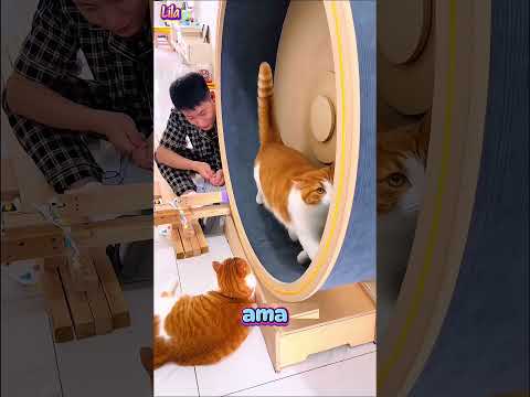 Bitti Az Kaldı Ha Gayret😛