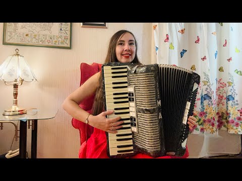 Hohner Verdi Grey Piano Accordion imagen 8