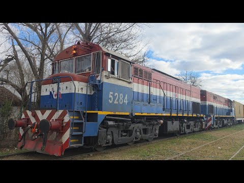 [4K] Colorido tren de contenedores de NCA con destino a Rosario pasando por Marcos Juárez!!!!!!