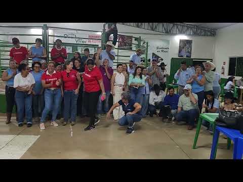 Leilão  beneficente hospital câncer Barretoa em Serranopolis-GO 