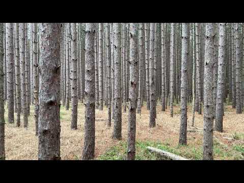 2023-10-21 N side of Esch Rd near Otter Creek Trailhead